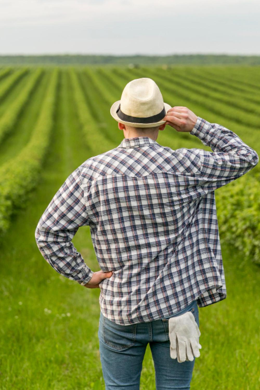 Agriculture Branding & Logo Design Winnipeg