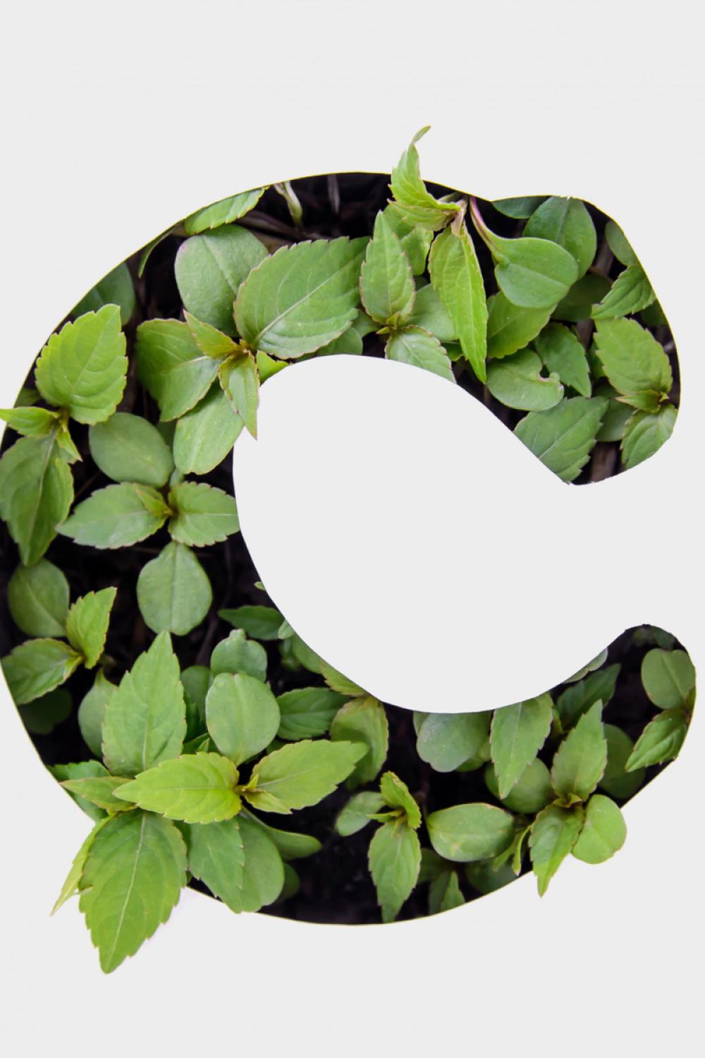 Exploring Agriculture Design & Typography