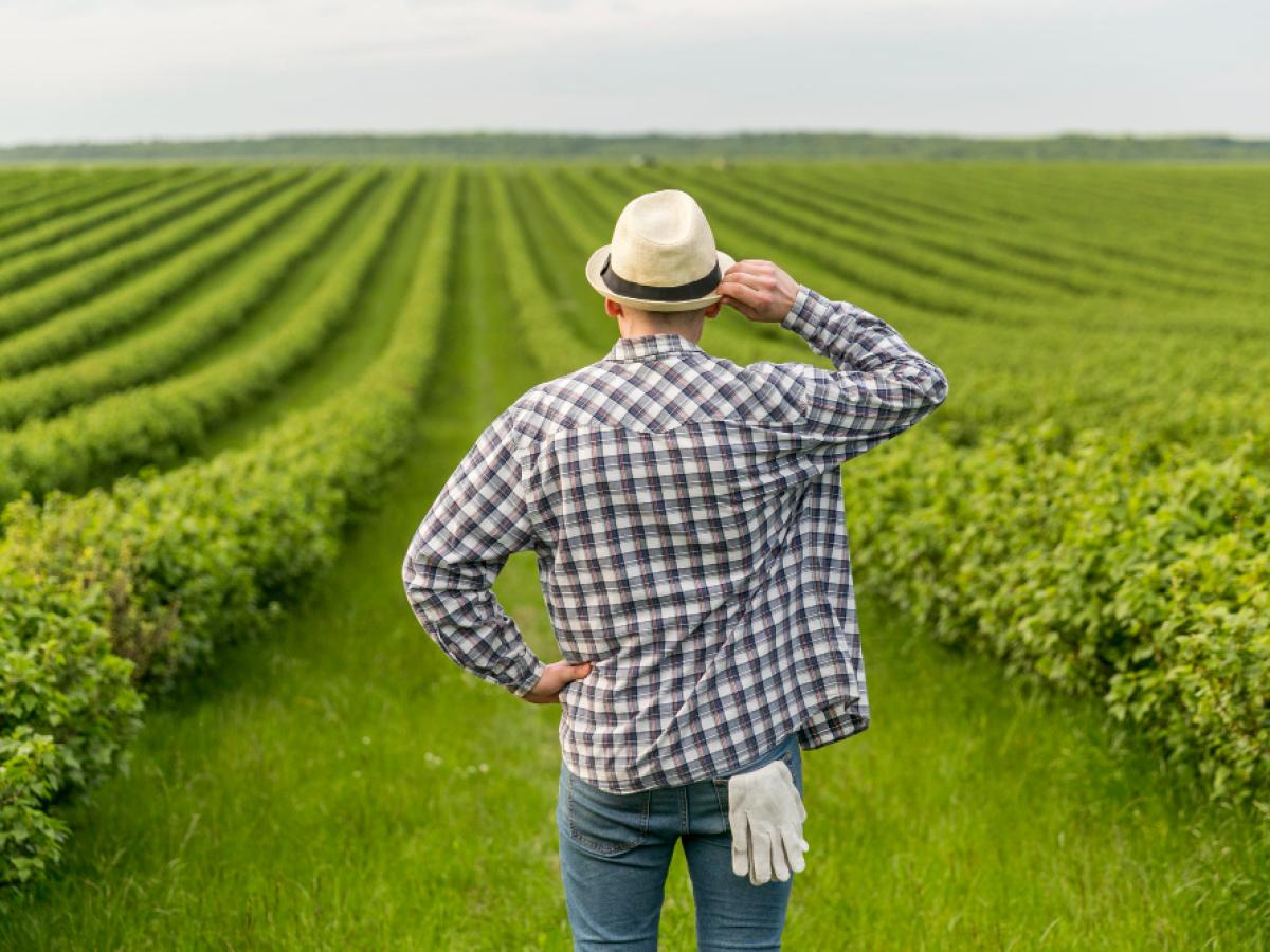 Ag Brand to Your Target Audience