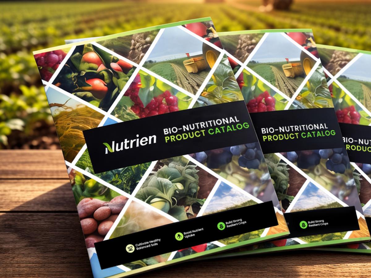 Agriculture Branding