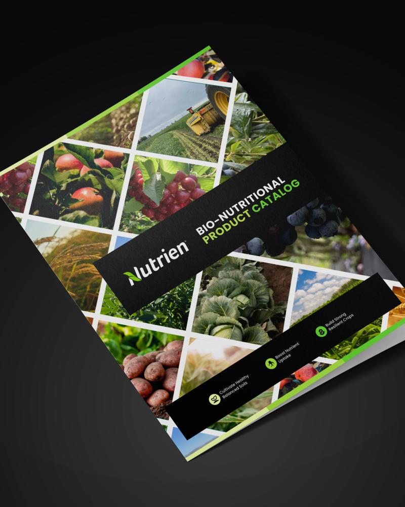 Agriculture Catalog Design