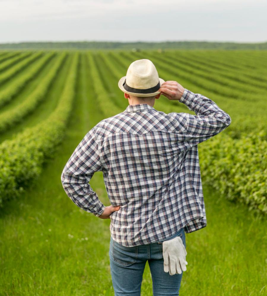 Agriculture Branding & Logo Design Winnipeg