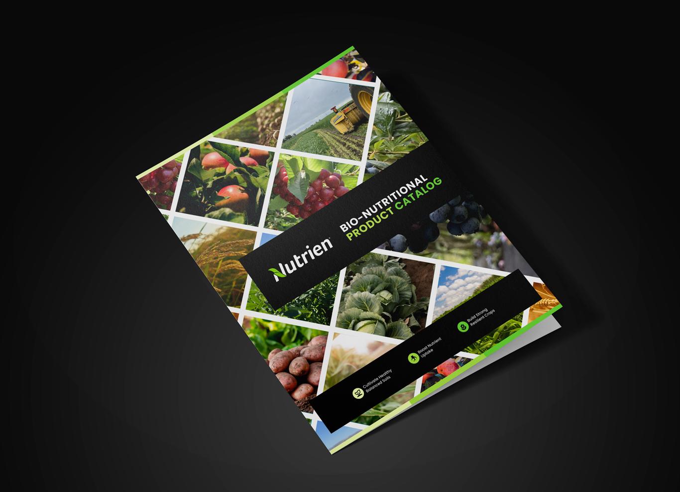 Agriculture Catalog Design
